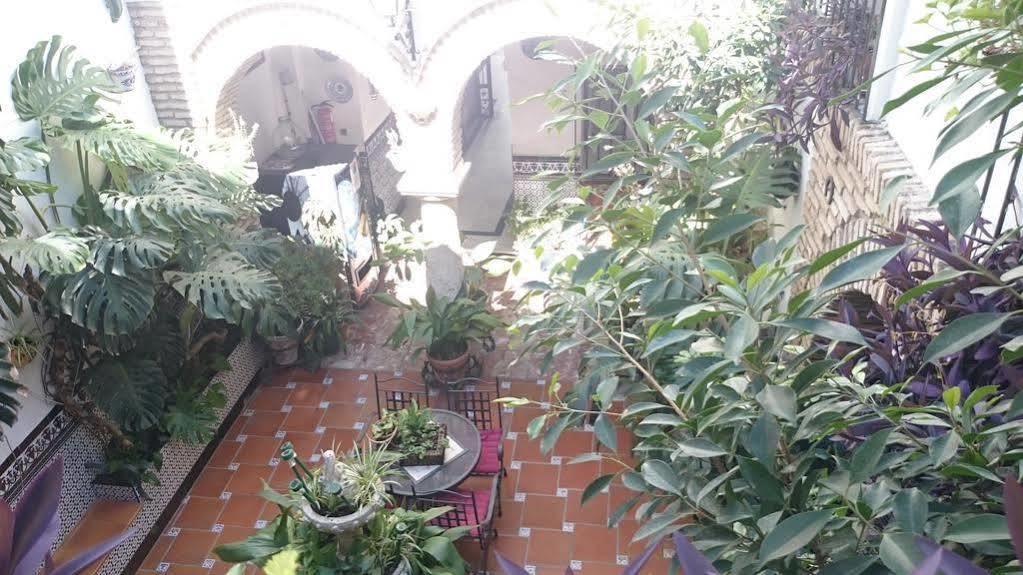Pension Los Arcos Κόρδοβα Εξωτερικό φωτογραφία