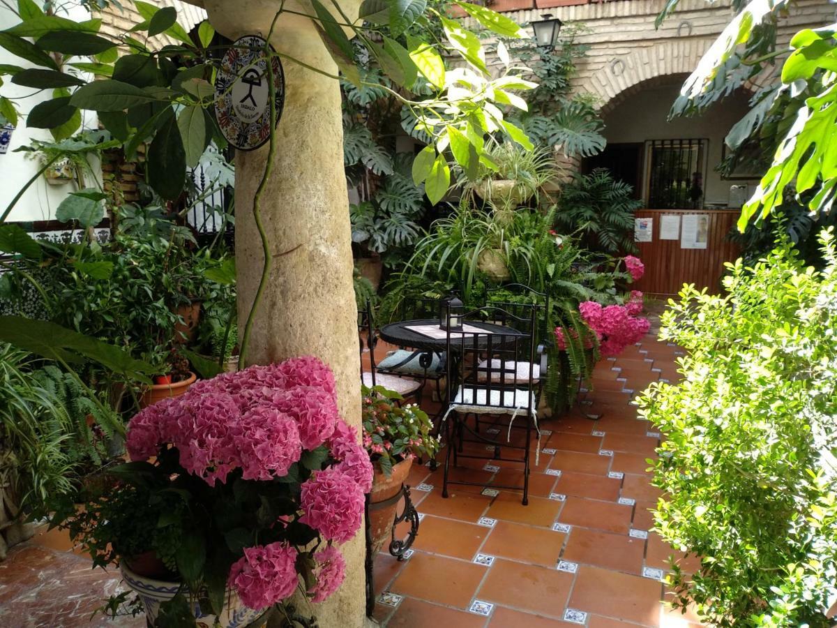 Pension Los Arcos Κόρδοβα Εξωτερικό φωτογραφία