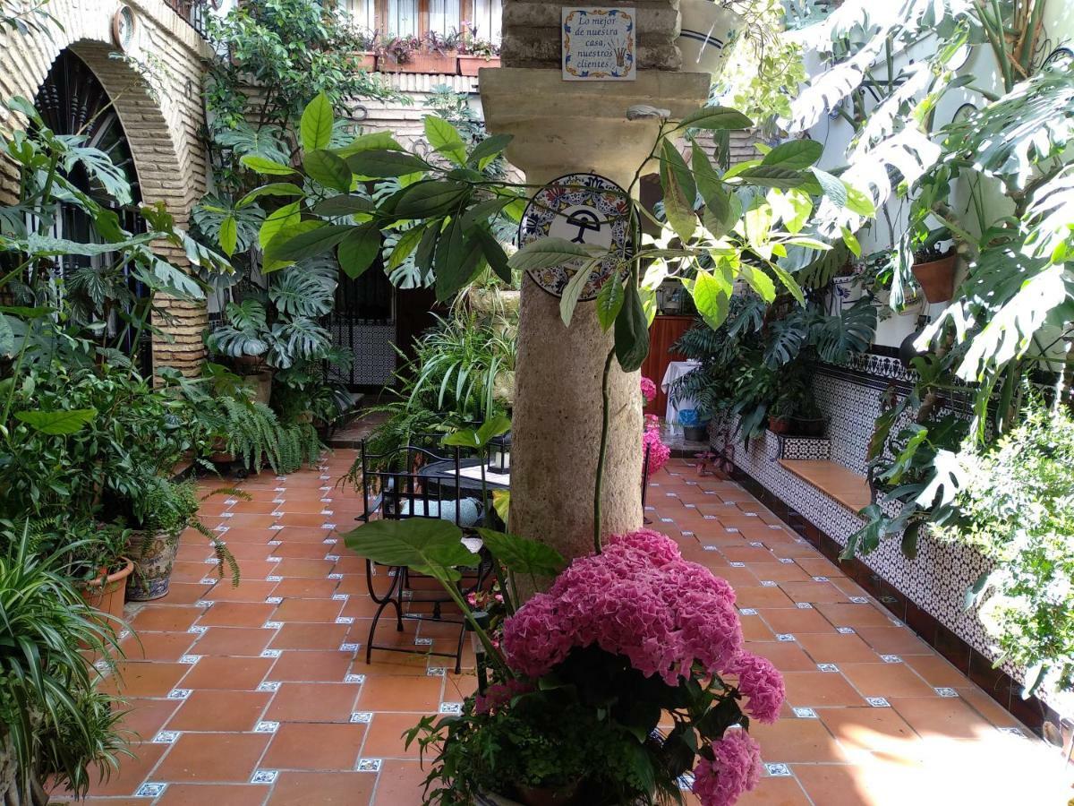 Pension Los Arcos Κόρδοβα Εξωτερικό φωτογραφία