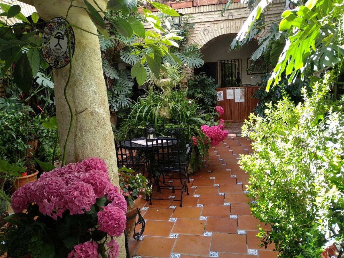 Pension Los Arcos Κόρδοβα Εξωτερικό φωτογραφία