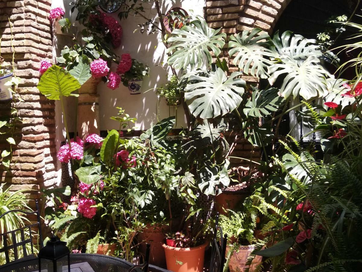Pension Los Arcos Κόρδοβα Εξωτερικό φωτογραφία